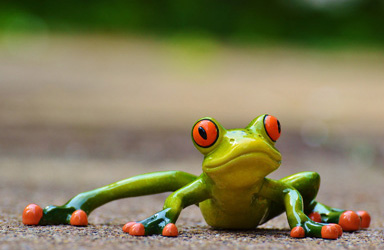 Free Stock Photos website - Pixabay